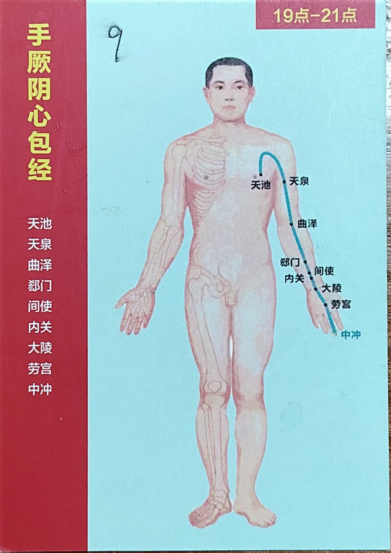 手厥阴心包经循行图