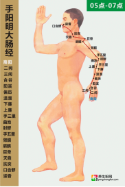 大肠经循行图
