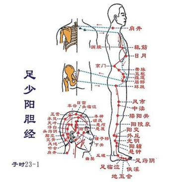 足少阳胆经五腧穴表